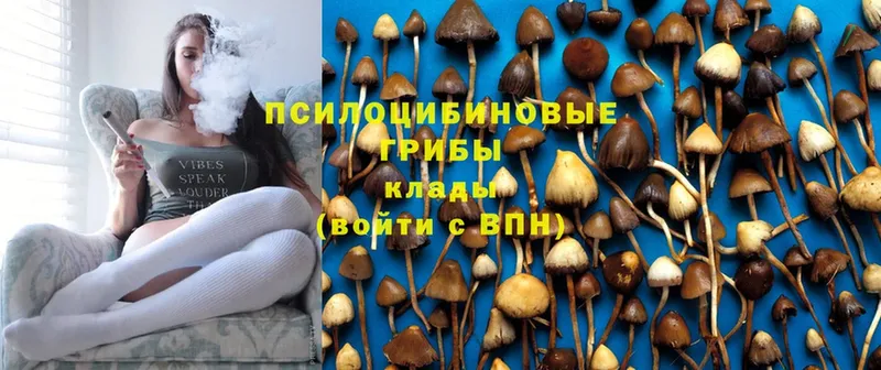 Псилоцибиновые грибы ЛСД  Нытва 